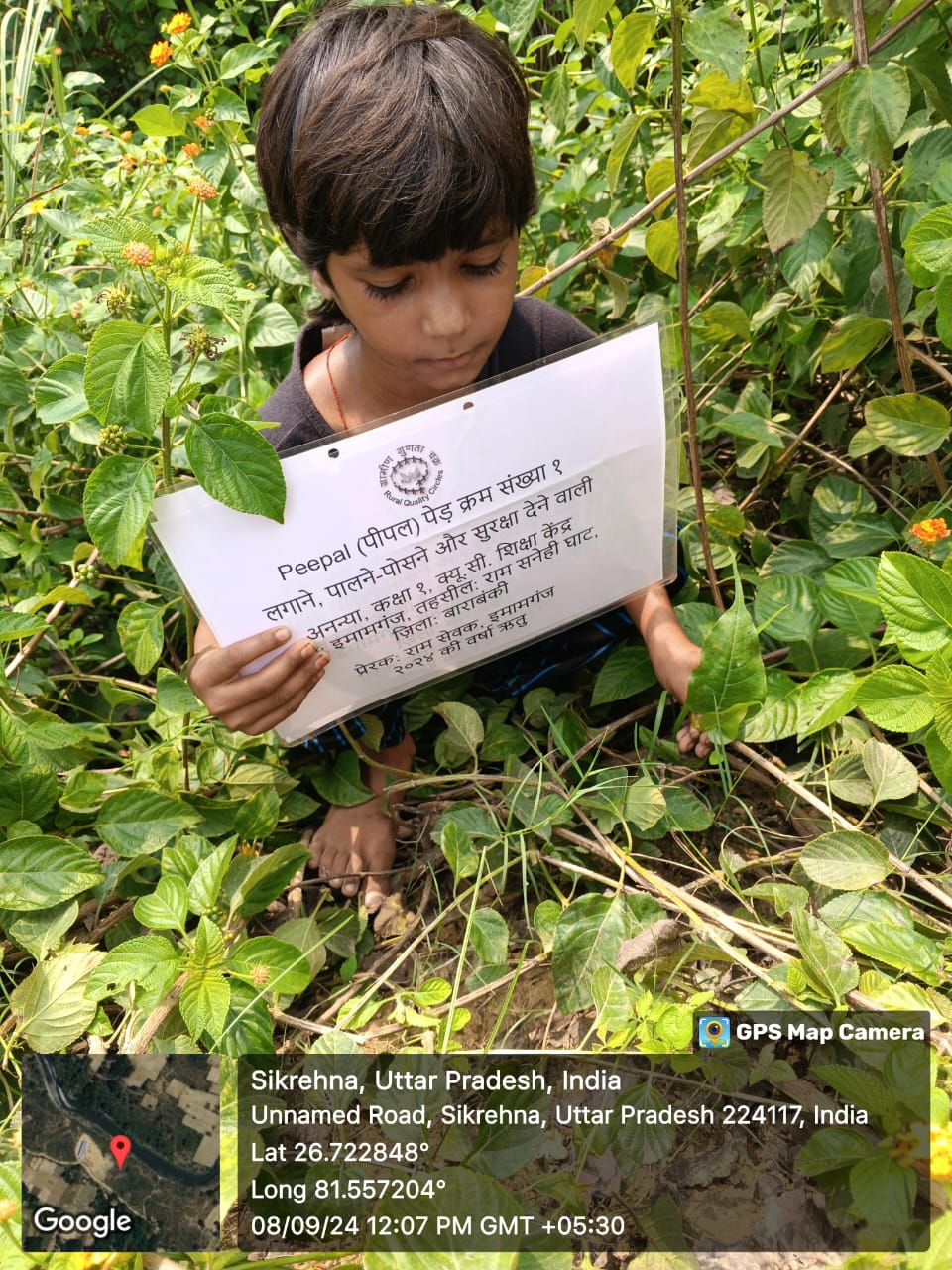 Peepal (पीपल) Tree Taken Care By: Ananya