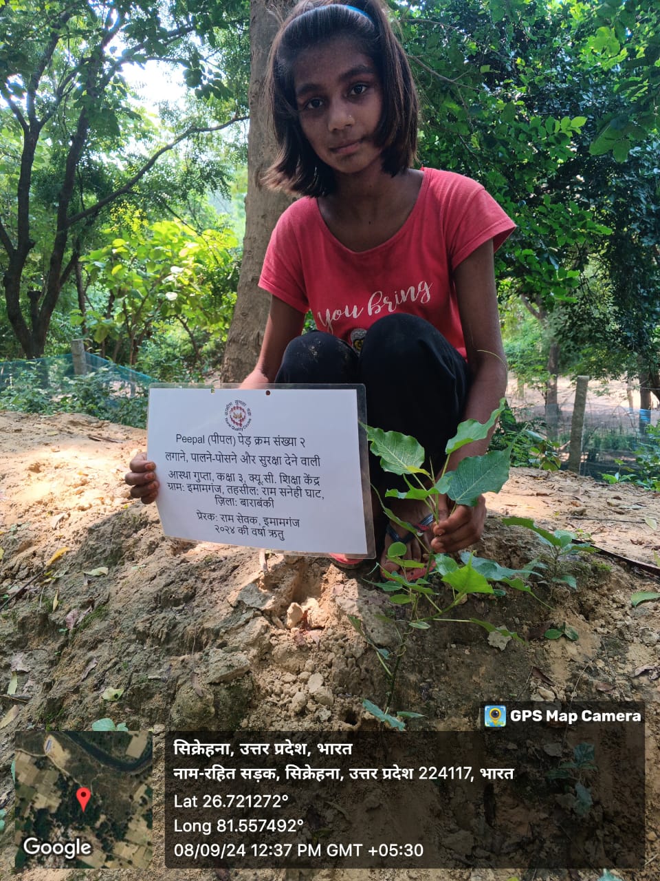 Peepal (पीपल) Tree Taken Care By: Astha Gupta