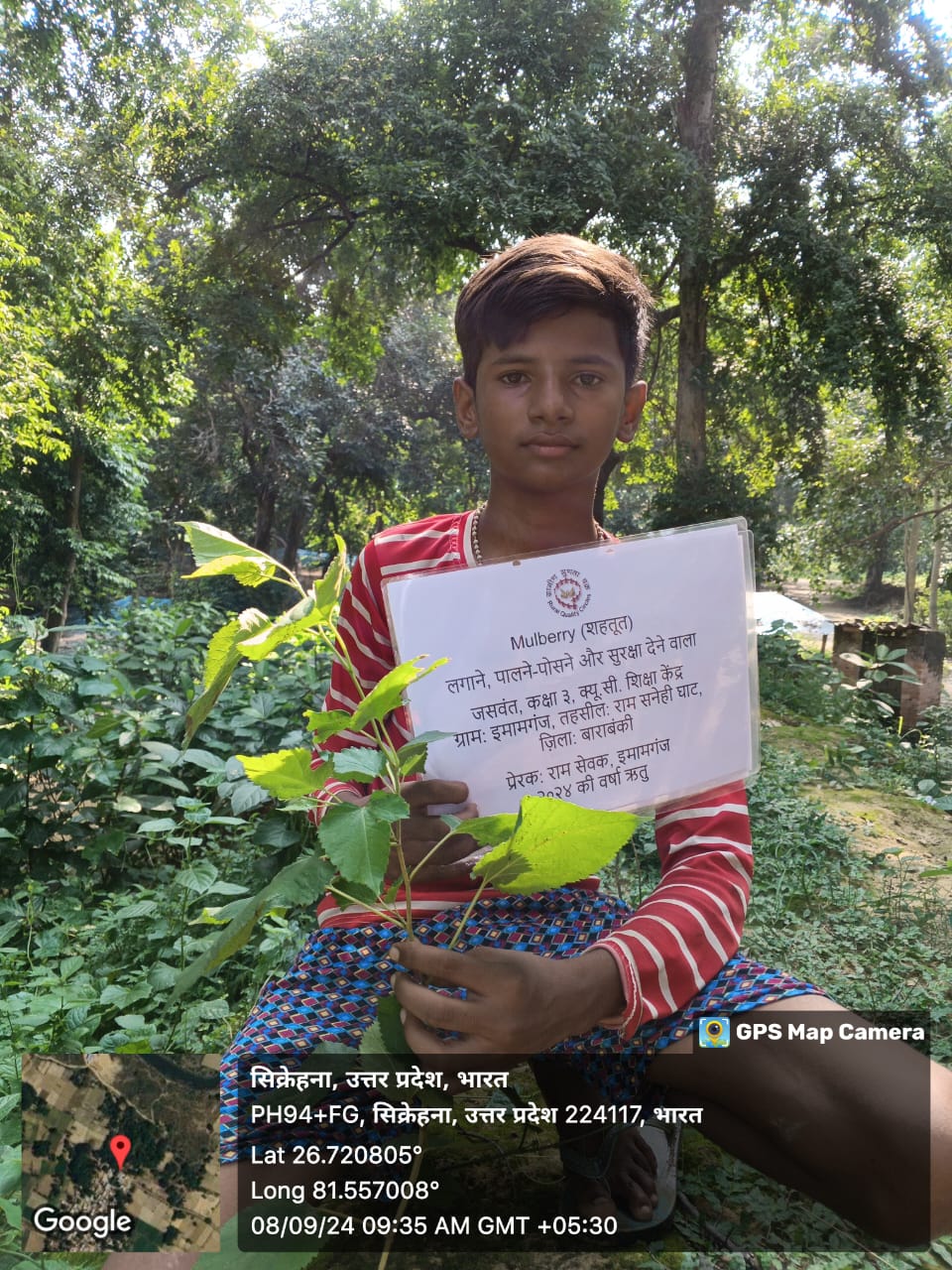 Mulberry (शहतूत) Tree Taken Care By: Jaswant