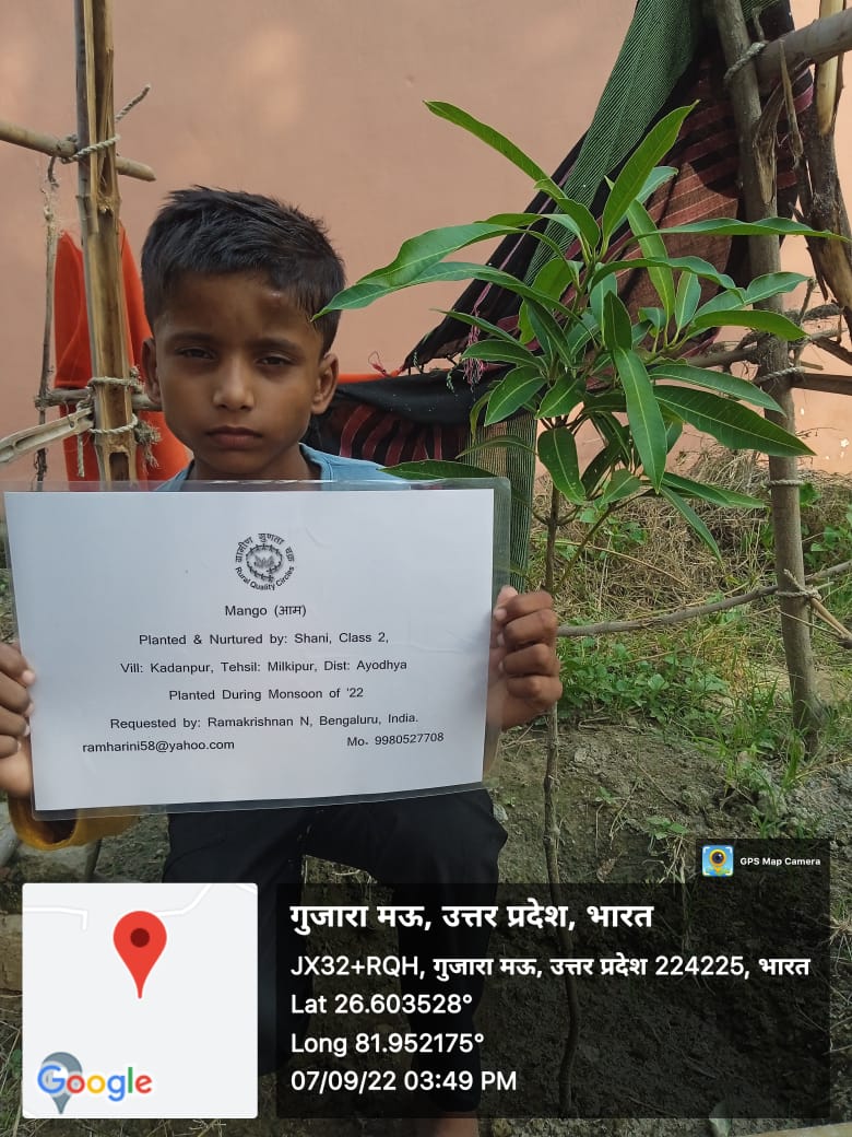 Mango (आम) Tree Taken Care By: Shani