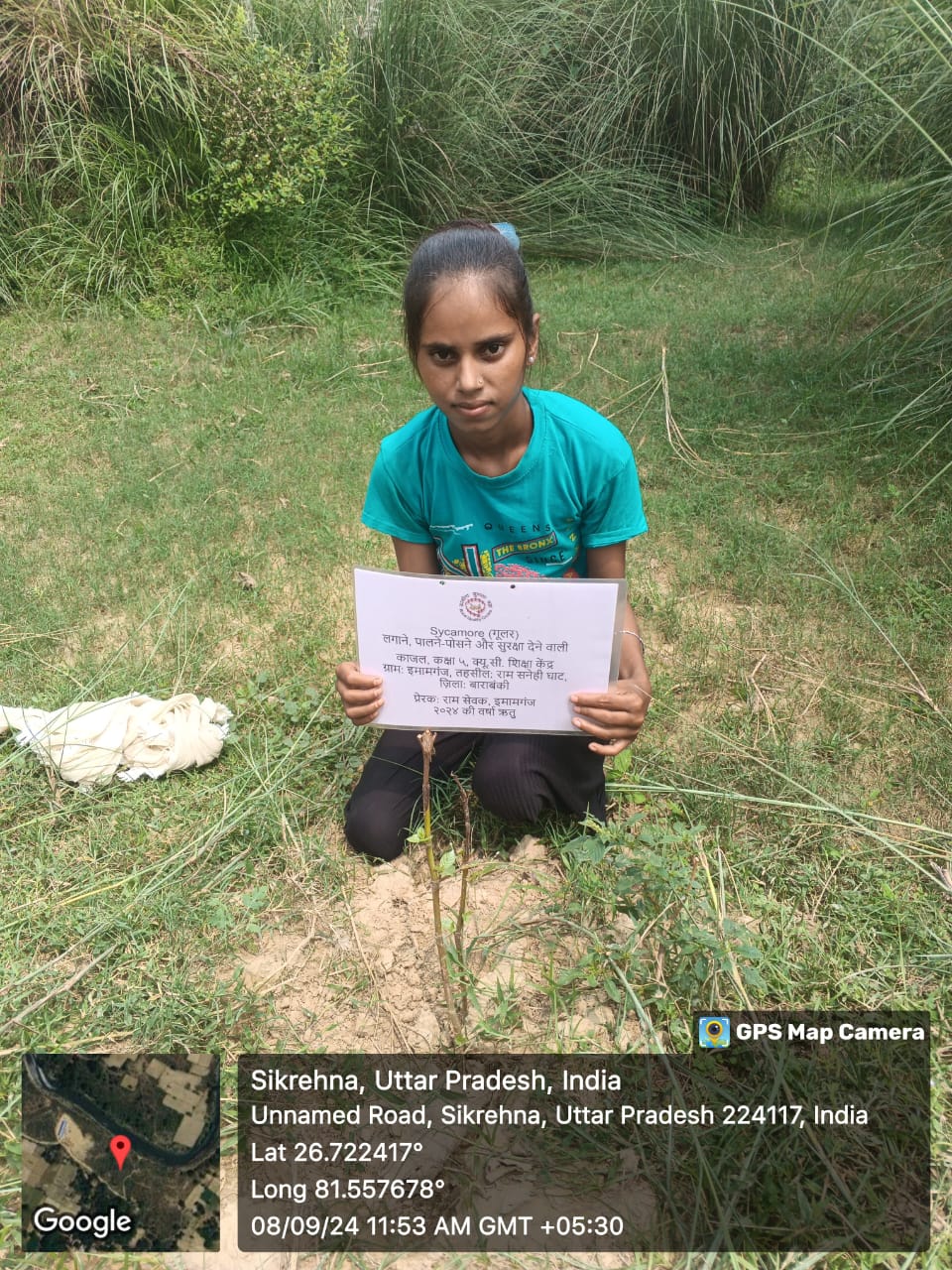 Sycamore (गूलर) Tree Taken Care By: Kajal