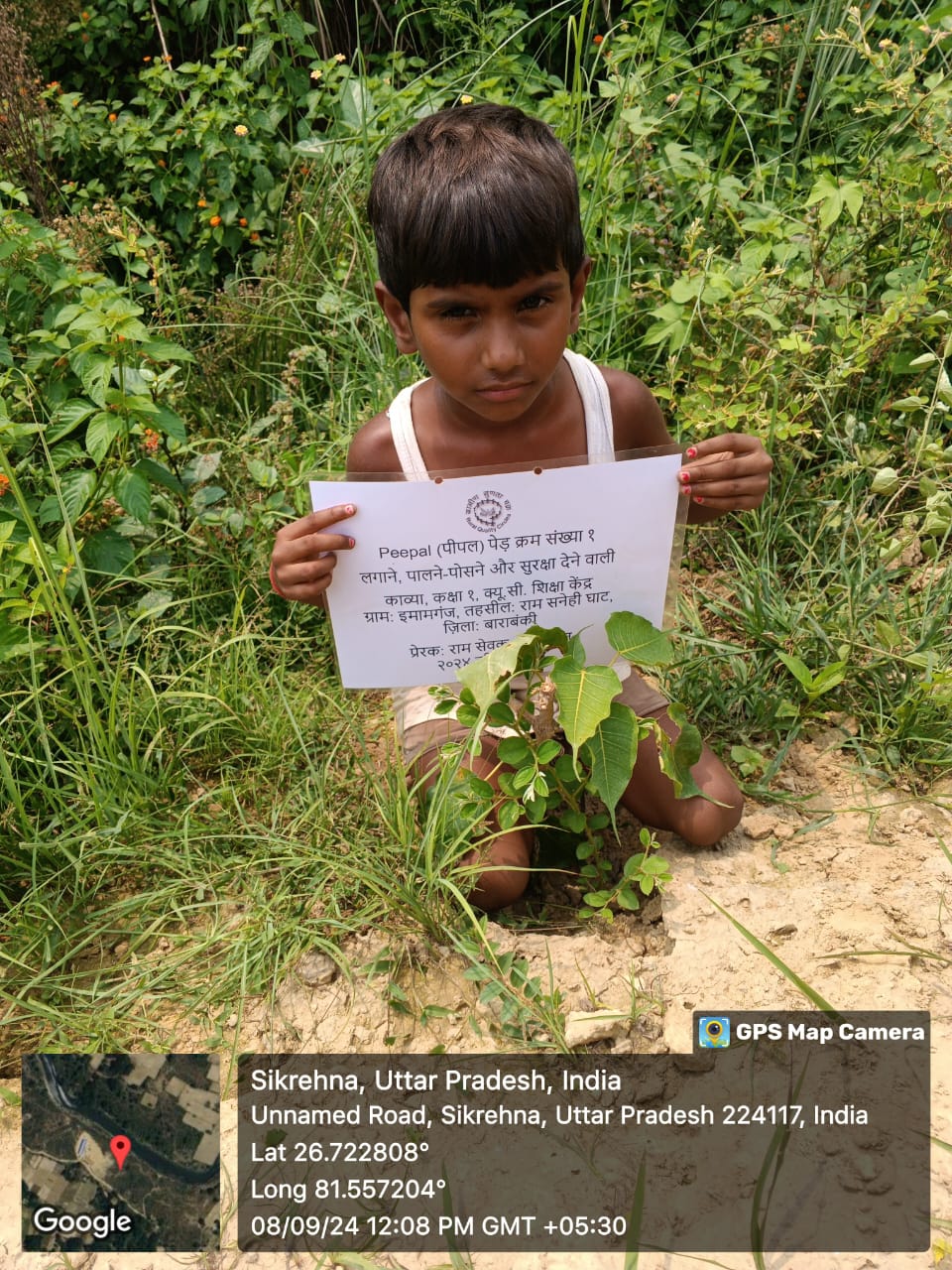 Peepal (पीपल) Tree Taken Care By: Kavya