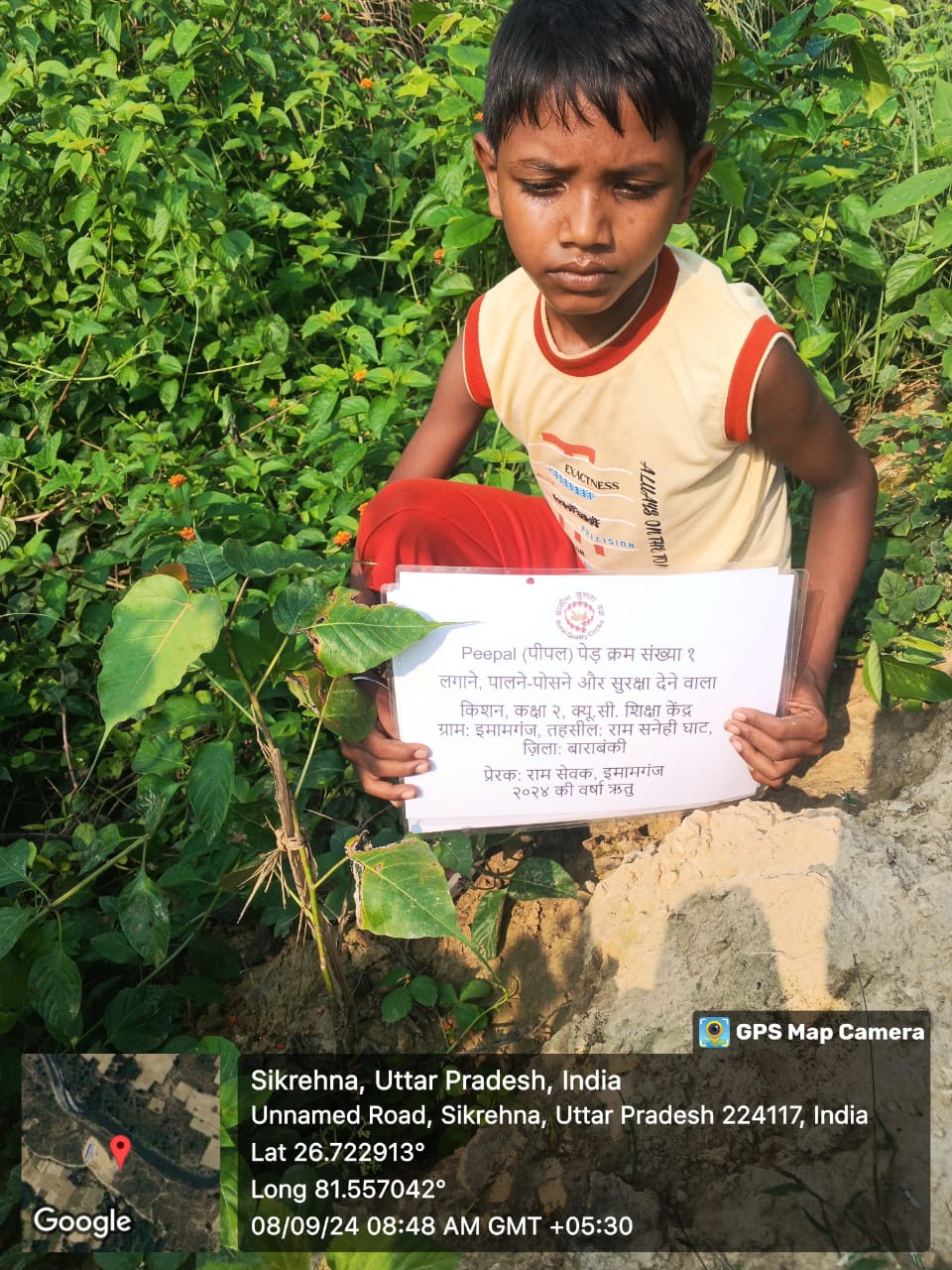 Peepal (पीपल) Tree Taken Care By: Kishan