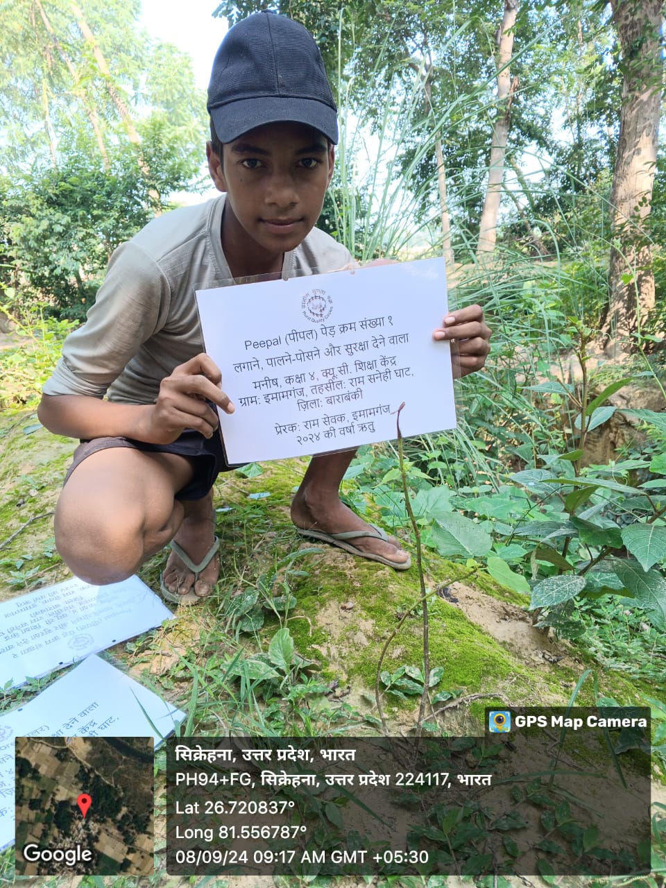 Peepal (पीपल) Tree Taken Care By: Manish
