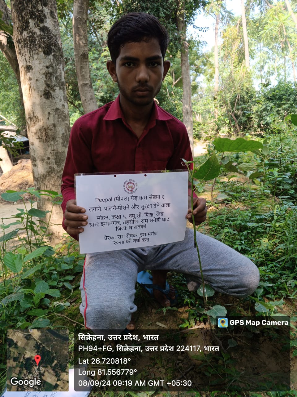 Peepal (पीपल) Tree Taken Care By: Mohan