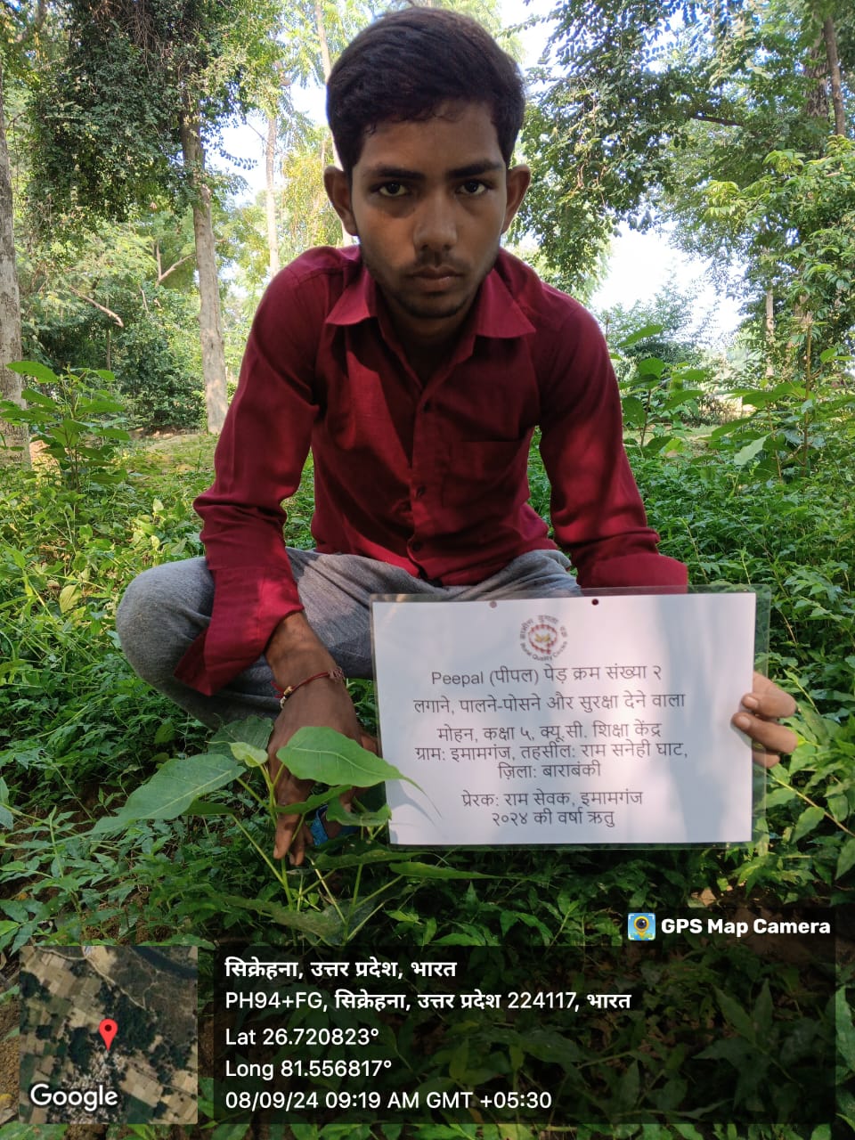 Peepal (पीपल) Tree Taken Care By: Mohan