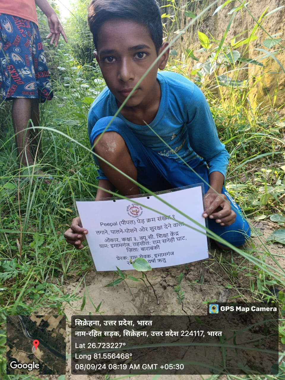 Peepal (पीपल) Tree Taken Care By: Onkar