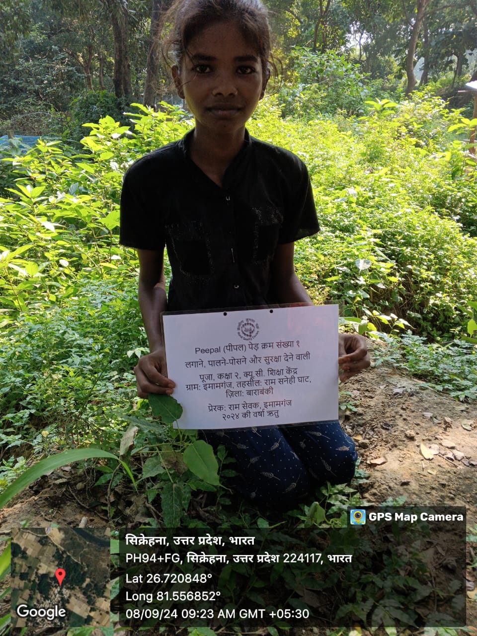 Peepal (पीपल) Tree Taken Care By: Puja