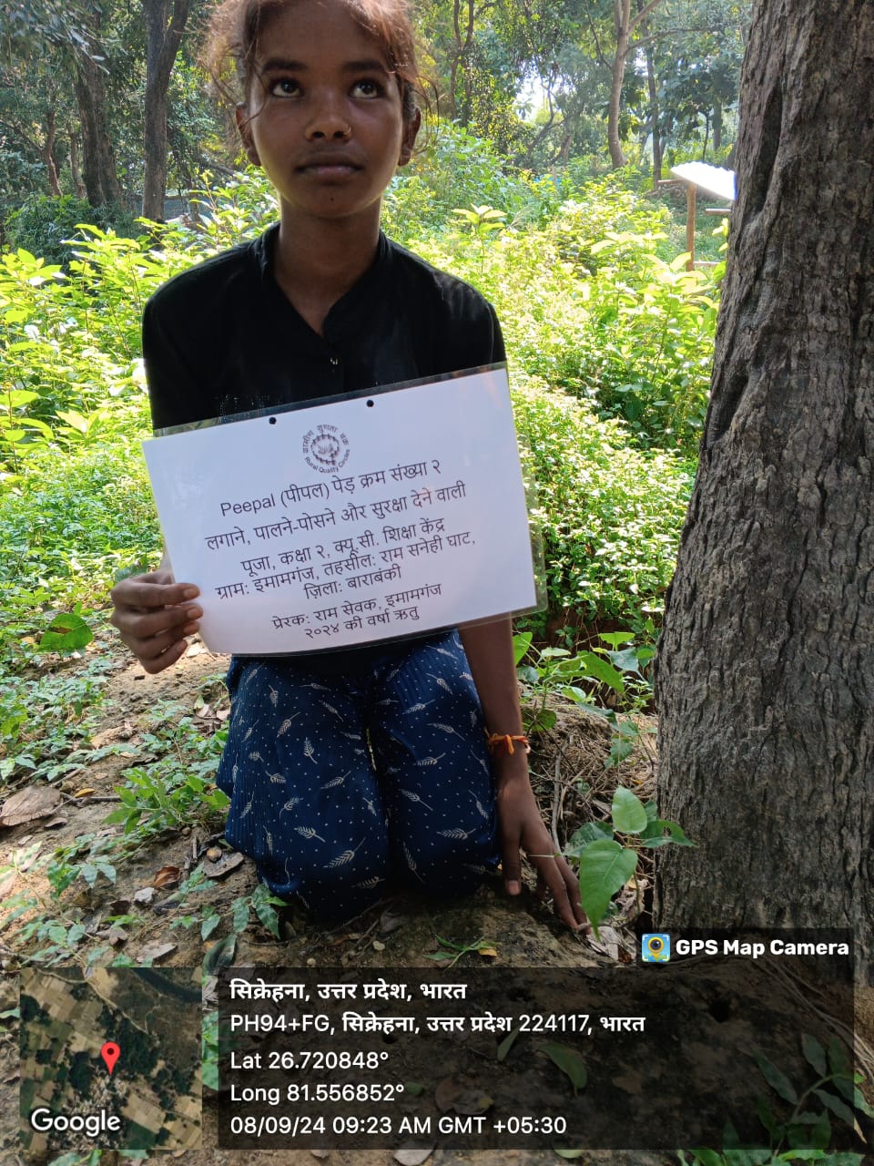 Peepal (पीपल) Tree Taken Care By: Puja