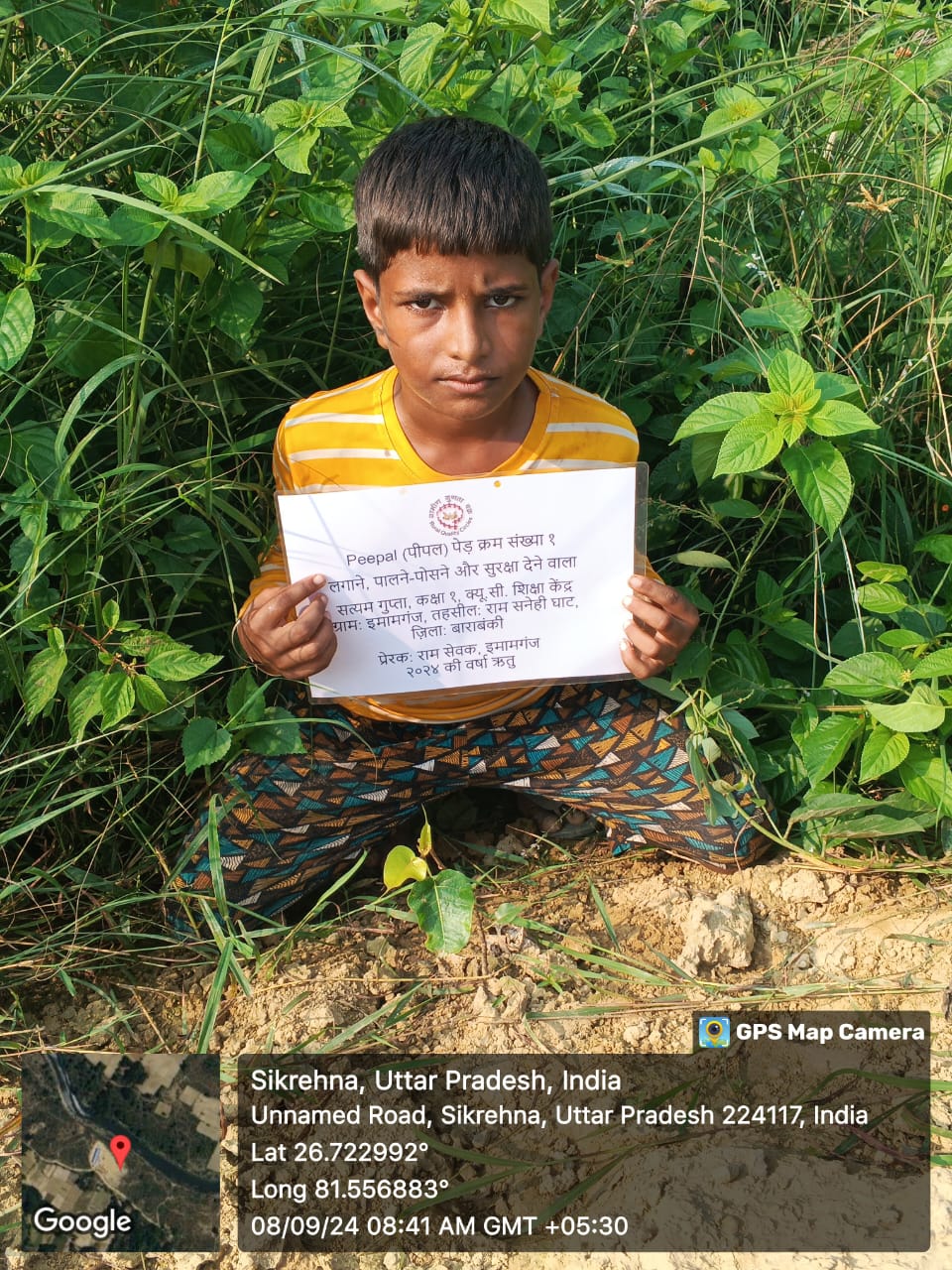 Peepal (पीपल) Tree Taken Care By: Satyam Gupta