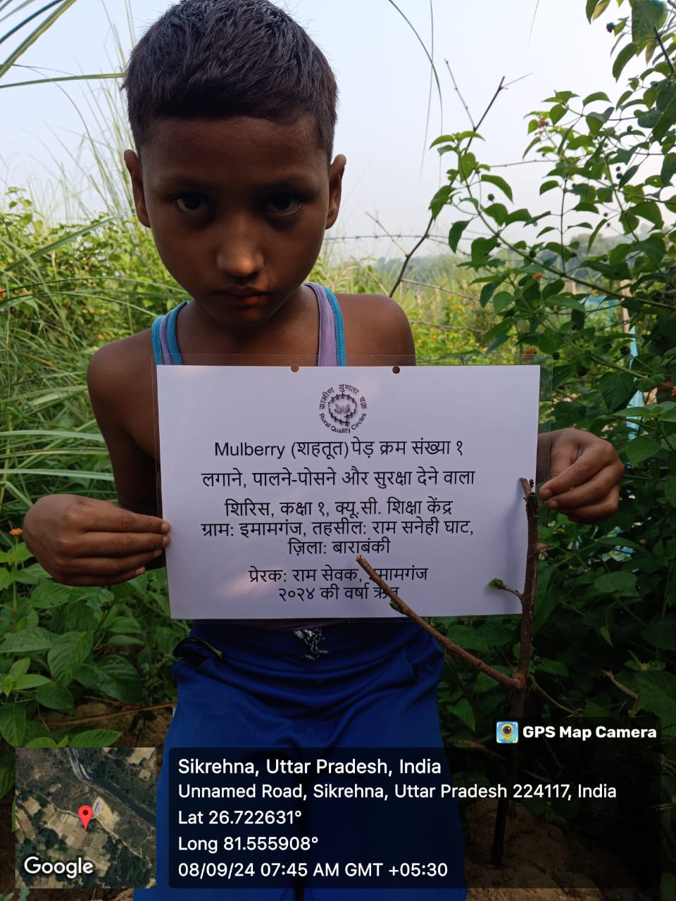 Mulberry (शहतूत) Tree Taken Care By: Shirish