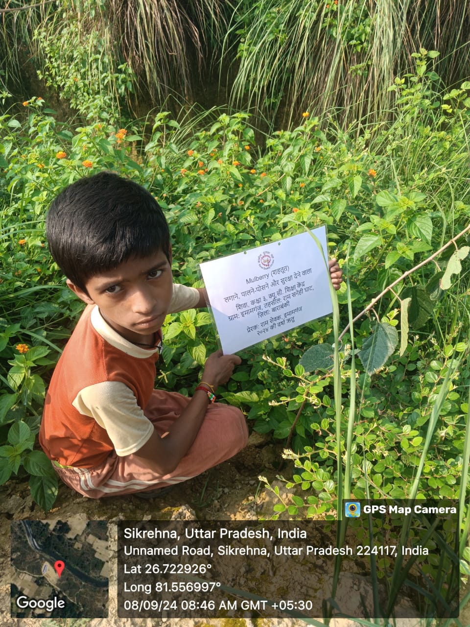 Mulberry (शहतूत) Tree Taken Care By: Shiva
