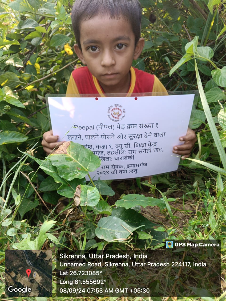 Peepal (पीपल) Tree Taken Care By: Shivansh