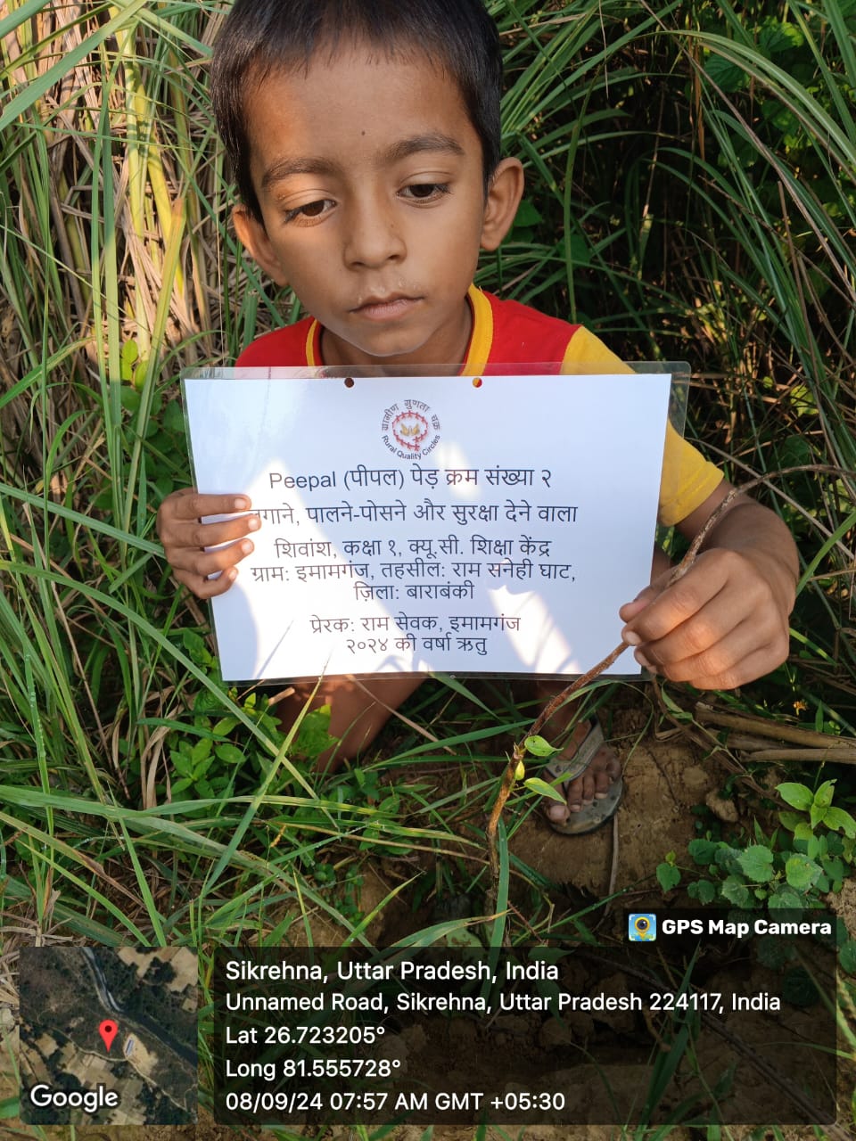 Peepal (पीपल) Tree Taken Care By: Shivansh