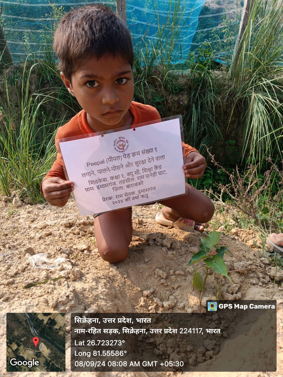 Peepal (पीपल) Tree Taken Care By: Shivkesh