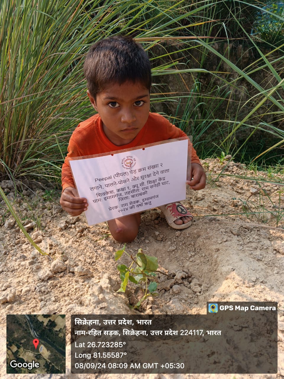 Peepal (पीपल) Tree Taken Care By: Shivkesh