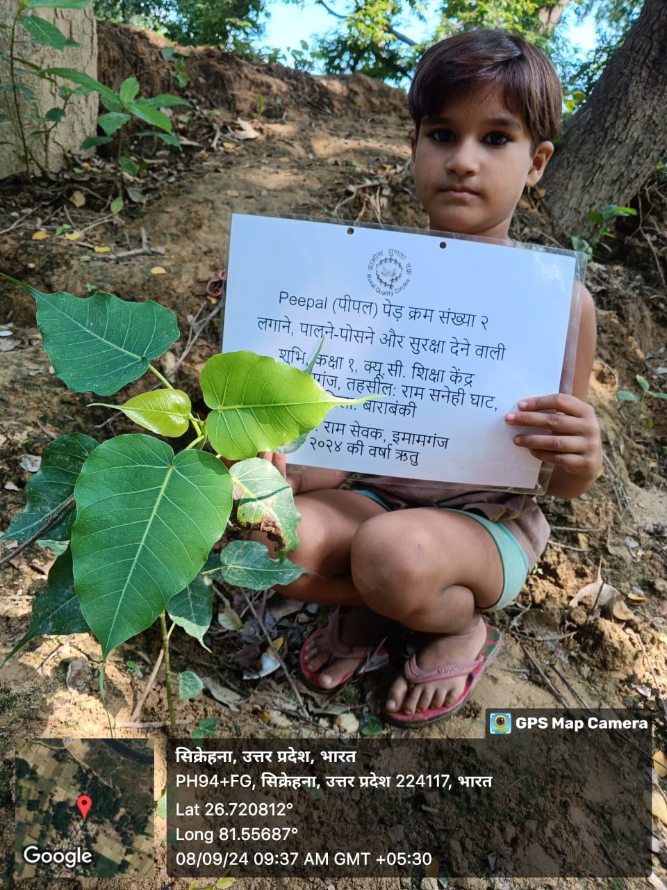 Peepal (पीपल) Tree Taken Care By: Shubhi