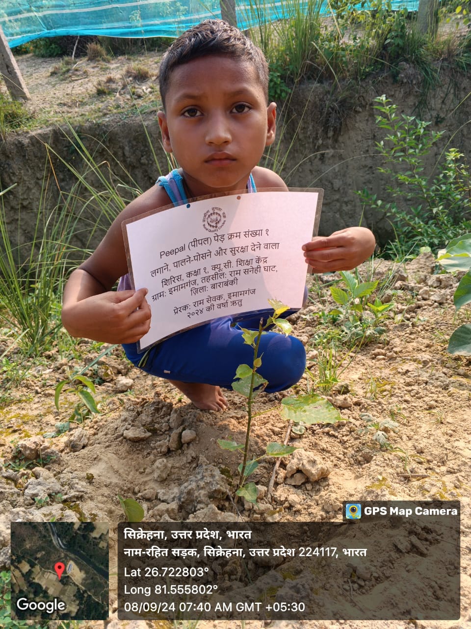 Peepal (पीपल) Tree Taken Care By: Sirish