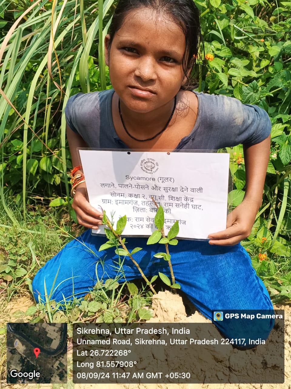 Peepal (पीपल) Tree Taken Care By: Sonam