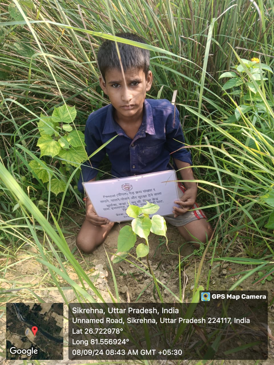 Peepal (पीपल) Tree Taken Care By: Suryansh