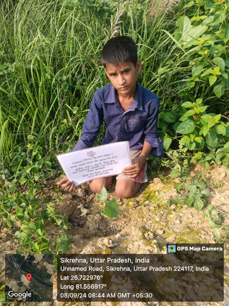 Peepal (पीपल) Tree Taken Care By: Suryansh