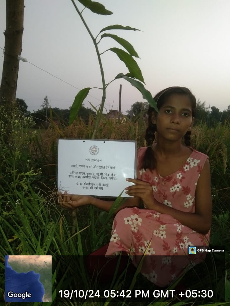 Mango (आम) Tree Taken Care By: Antima Yadav