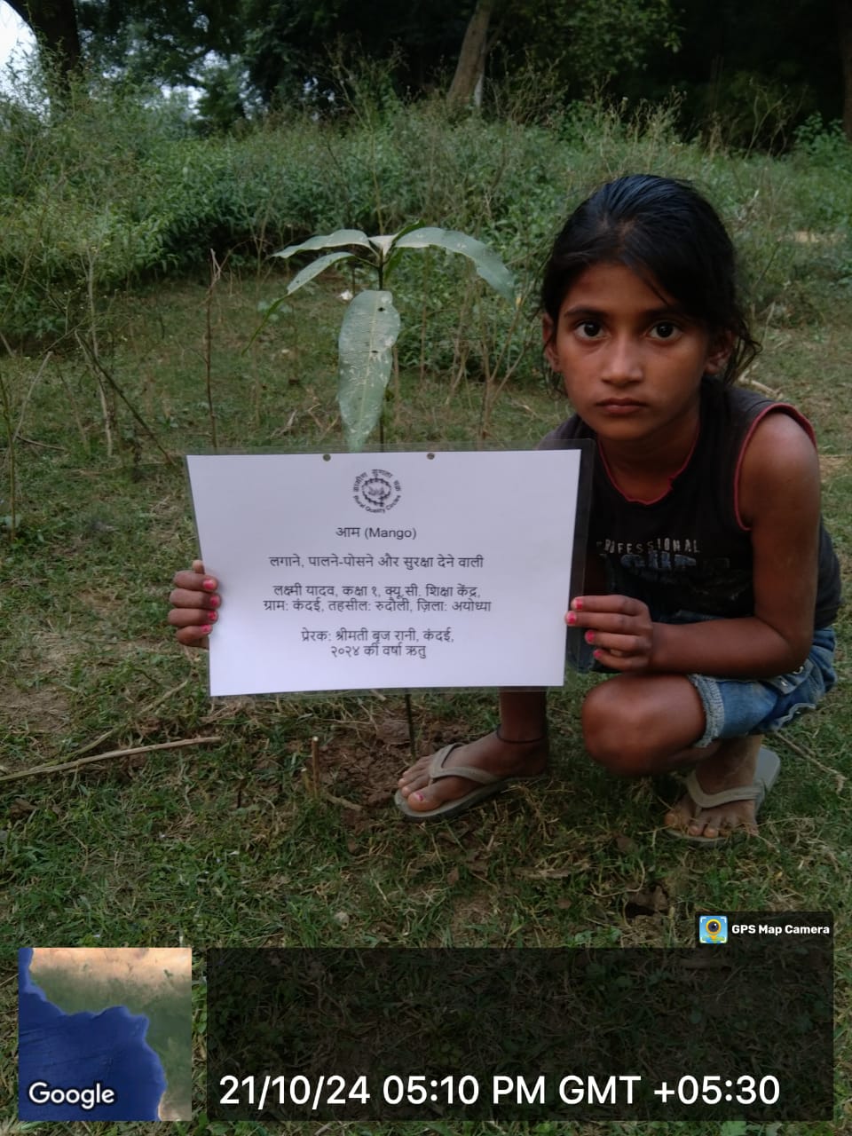 Mango (आम) Tree Taken Care By: Lakshmi Yadav