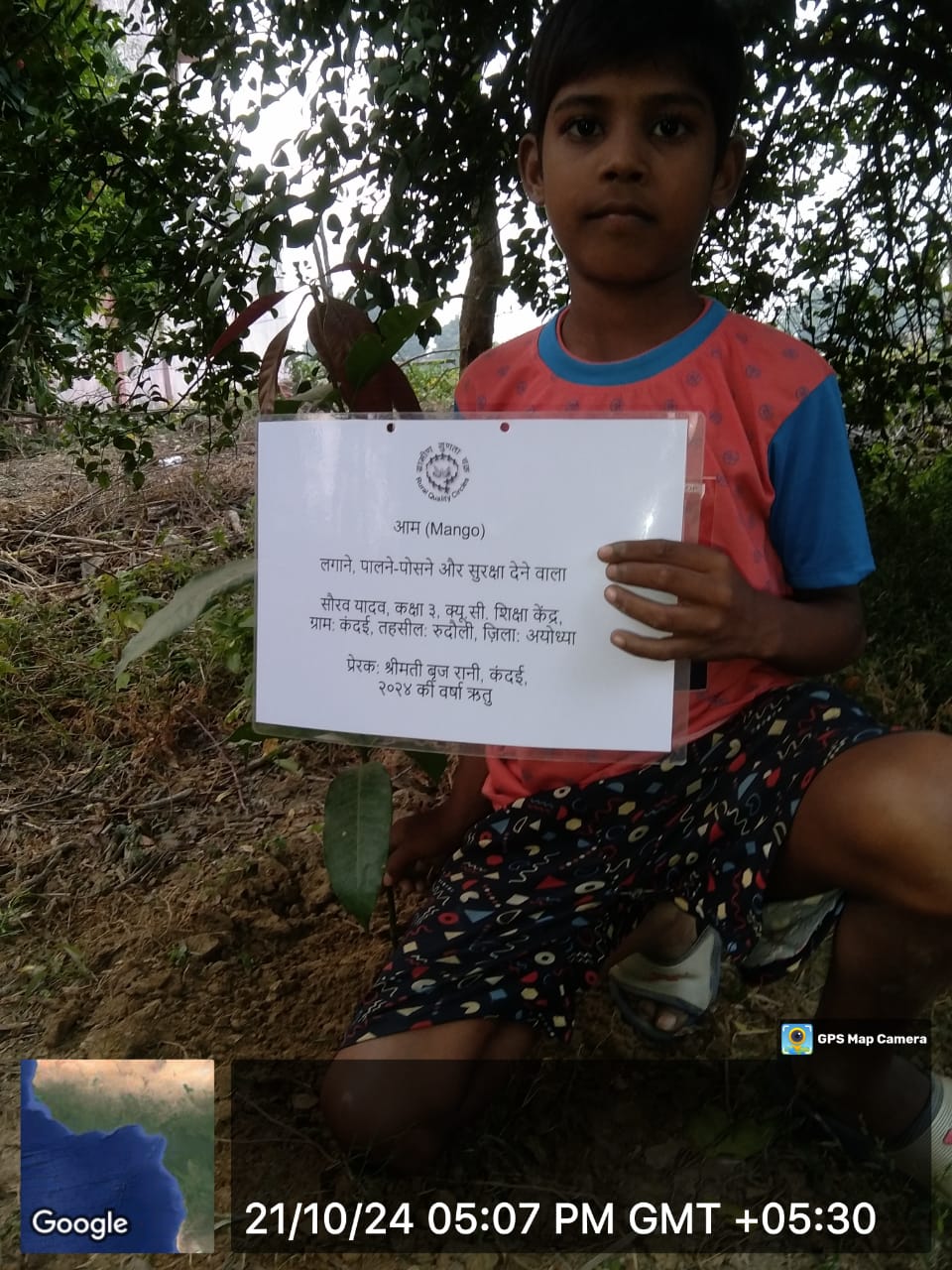 Mango (आम) Tree Taken Care By: Saurav Yadav