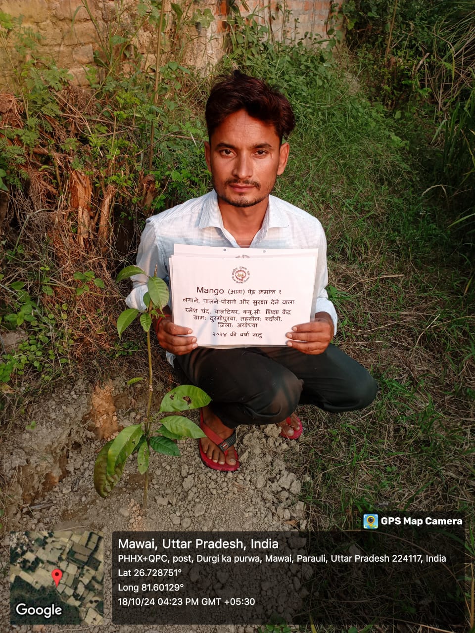 Mango (आम) Tree Taken Care By: Ramesh Chand