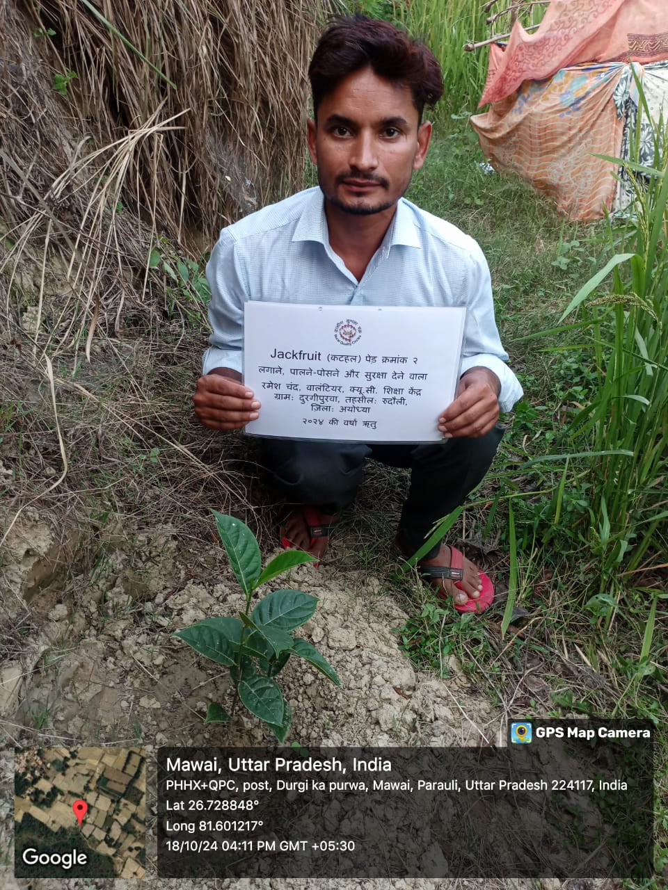 Jack Fruit (कटहल) Tree Taken Care By: Ramesh Chand
