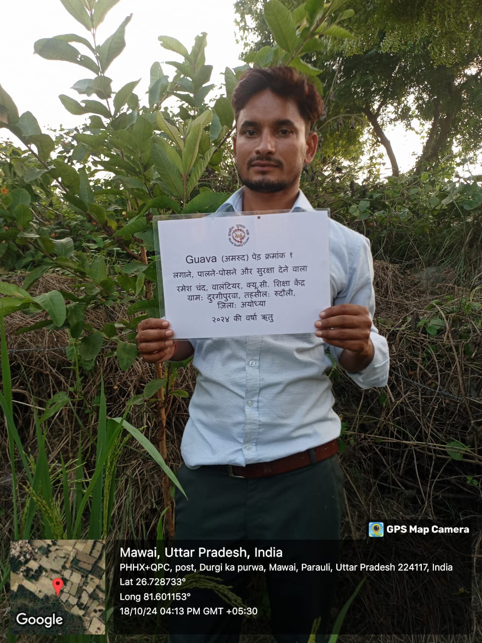Guava (अमरूद) Tree Taken Care By: Ramesh Chand