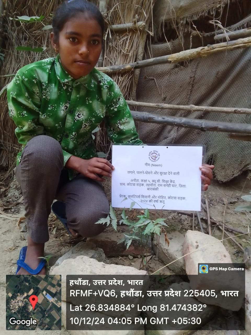 Neem (नीम) Tree Taken Care By: Anita