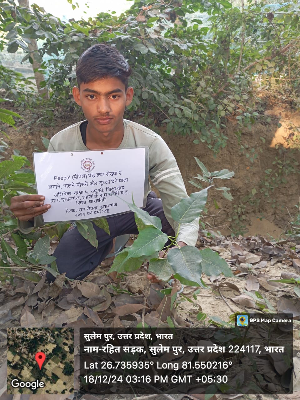 Peepal (पीपल) Tree Taken Care By: Abhishek