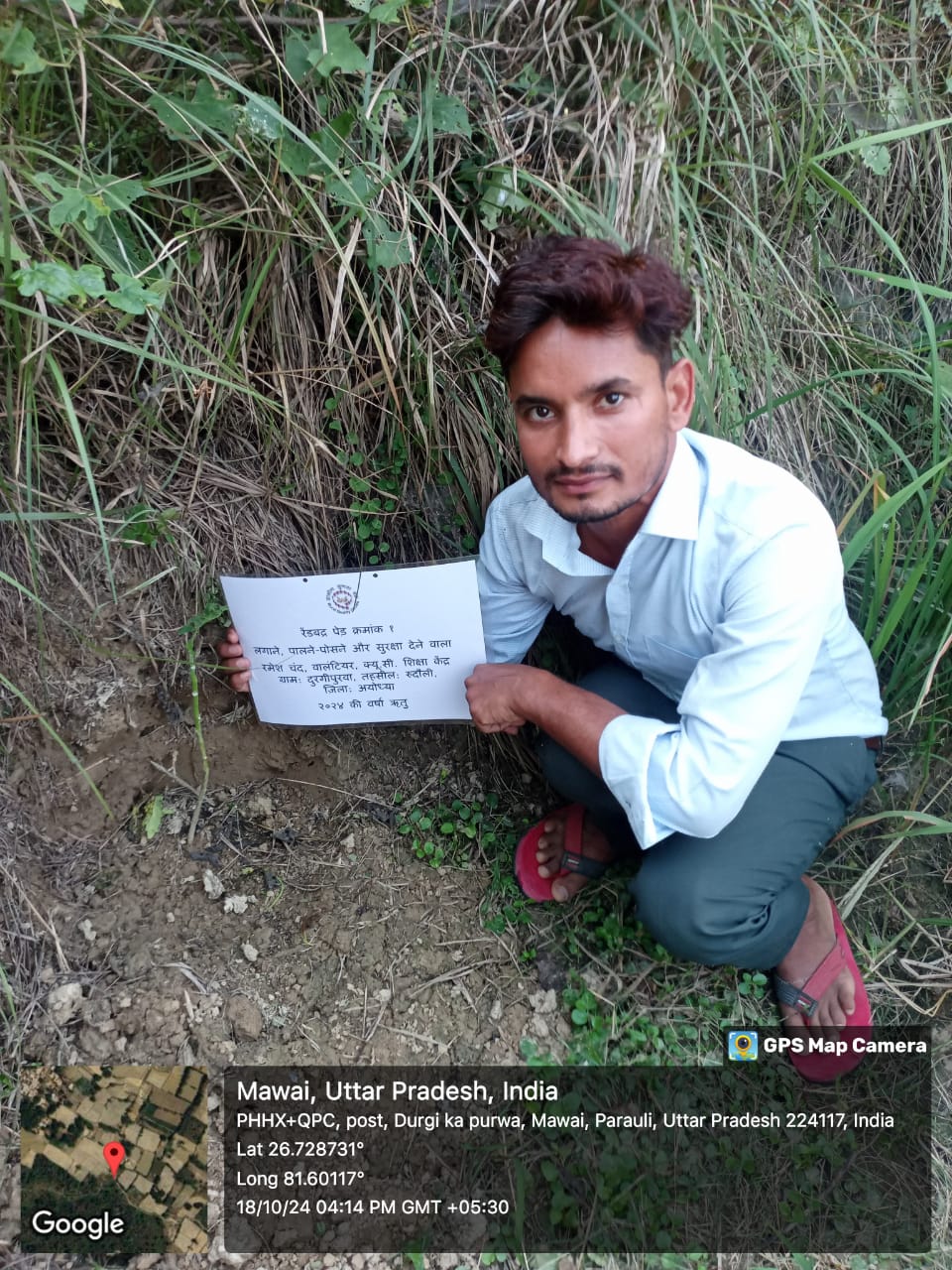 Rendyadra(रेंडयद्र ) Tree Taken Care By: Ramesh Chand