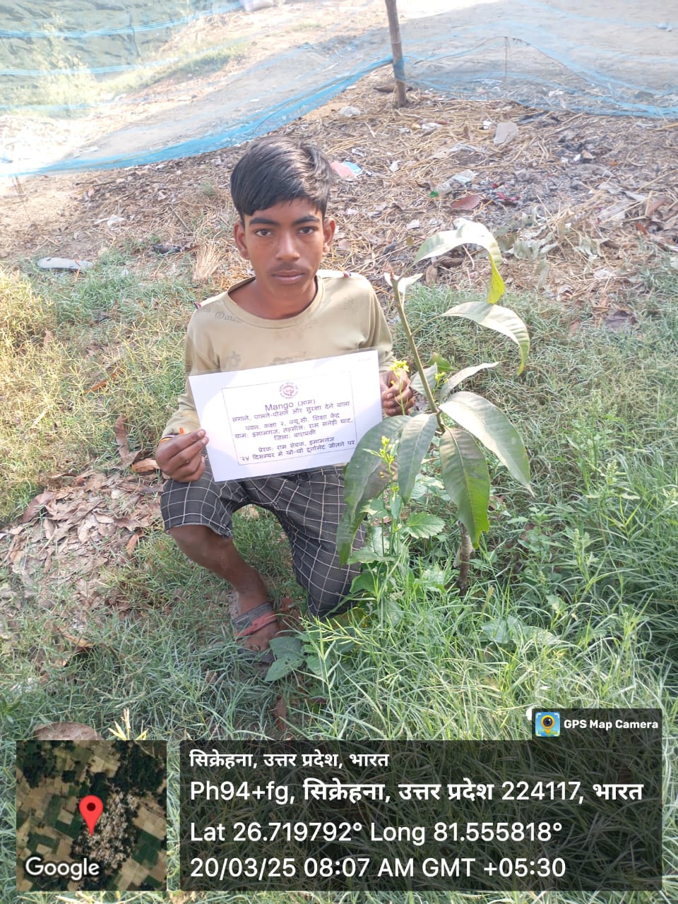 Mango (आम) Tree Taken Care By: Pawan