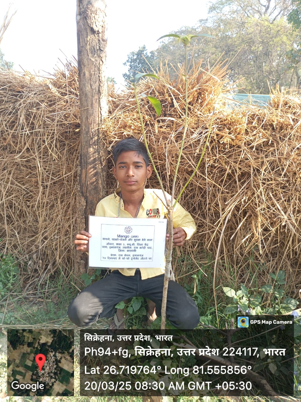 Mango (आम) Tree Taken Care By: Onkar