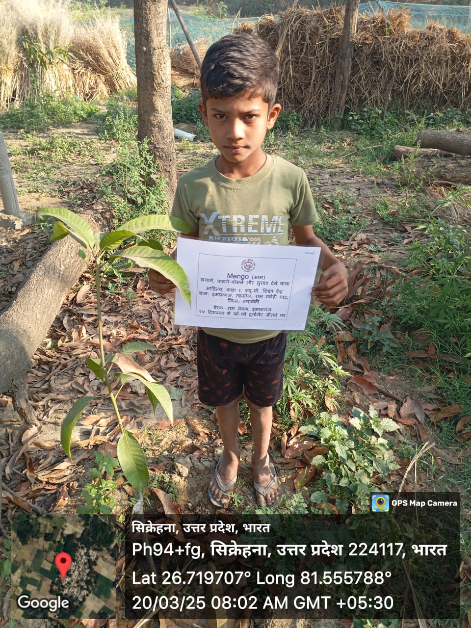 Mango (आम) Tree Taken Care By: Aditya