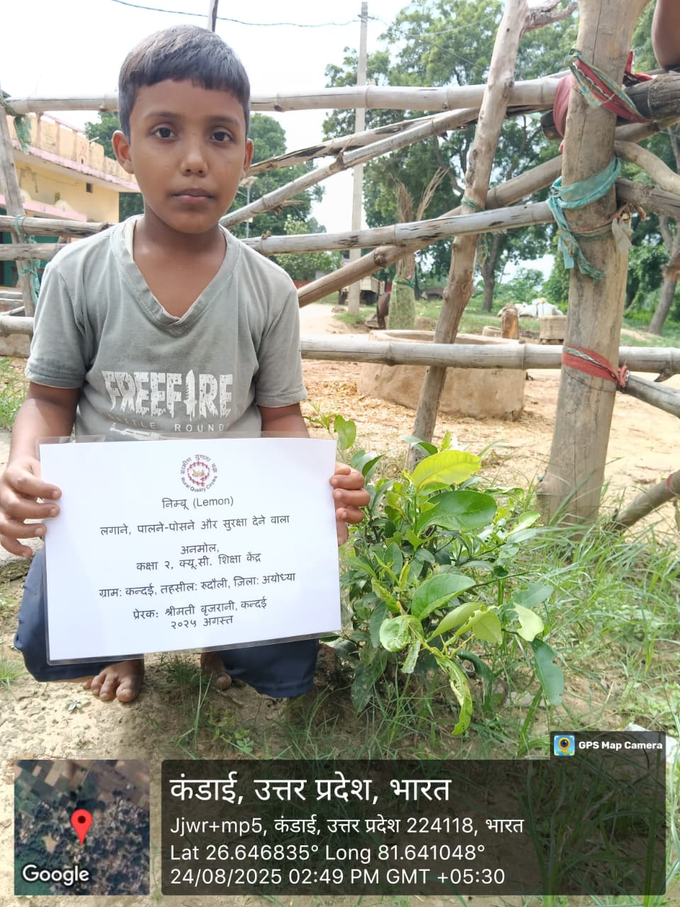 Lemon (नींबू) Tree Taken Care By: ANMOL