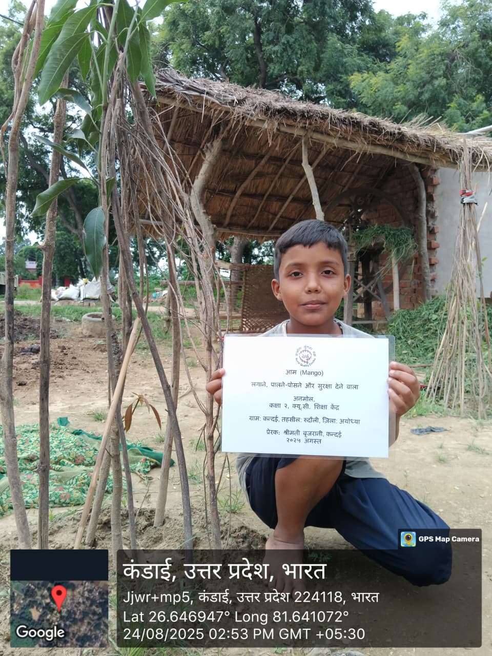 Mango (आम) Tree Taken Care By: ANMOL