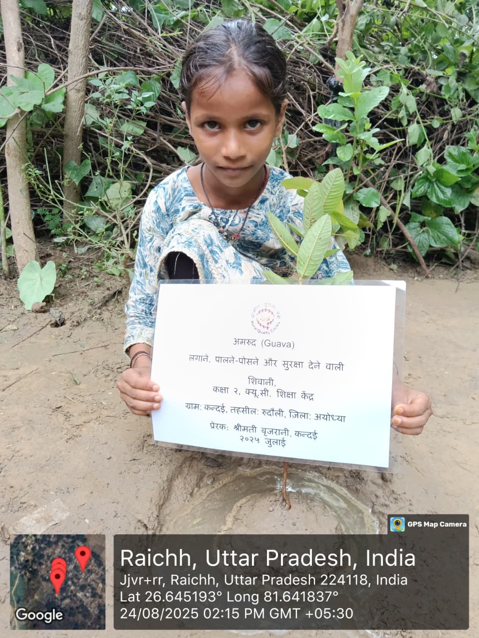 Guava (अमरूद) Tree Taken Care By: SHIVANI