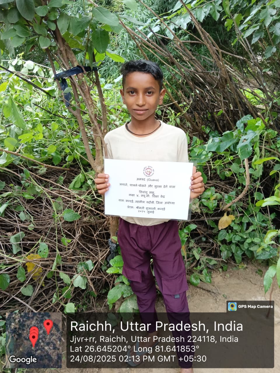 Guava (अमरूद) Tree Taken Care By: SHIVANSHU SAHU