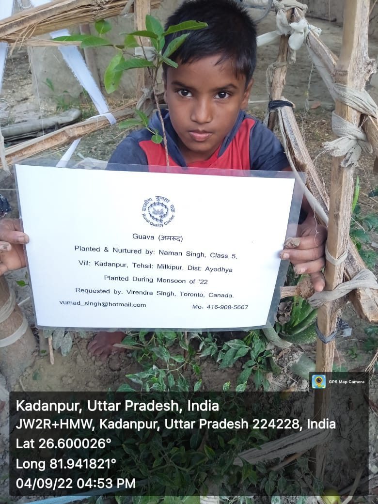 Guava (अमरूद) Tree Taken Care By: Naman