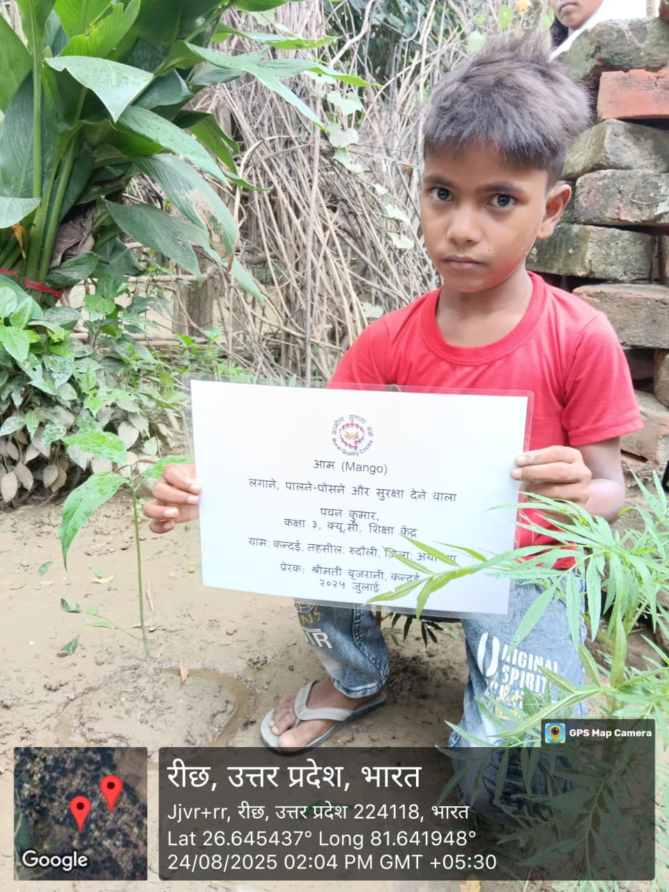 Mango (आम) Tree Taken Care By: PAWAN KUMAR