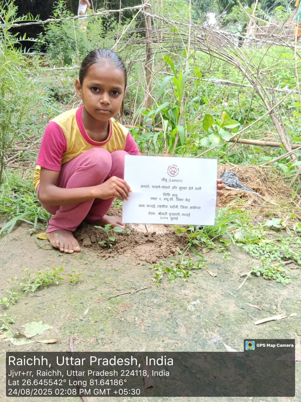 Lemon (नींबू) Tree Taken Care By: NIDHI SAHU