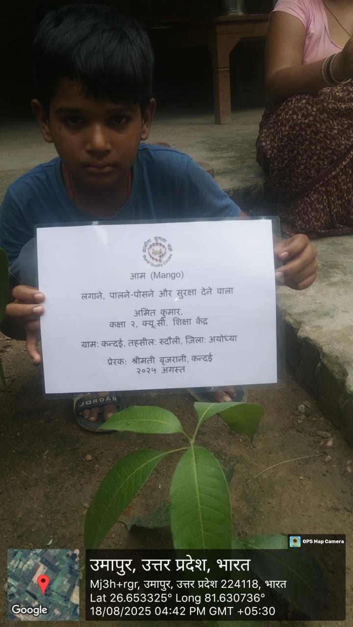 Mango (आम) Tree Taken Care By: AMIT KUMAR