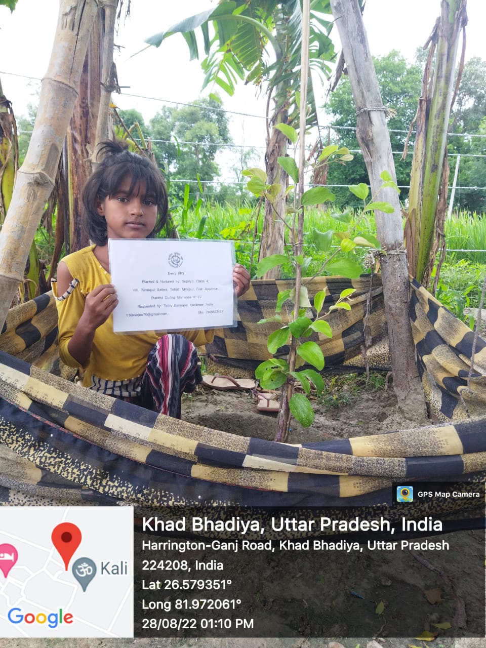 Berry (बेर) Tree Taken Care By: Supriya