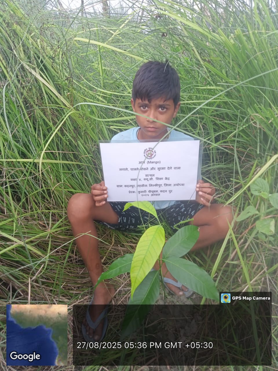 Mango (आम) Tree Taken Care By: Satyam