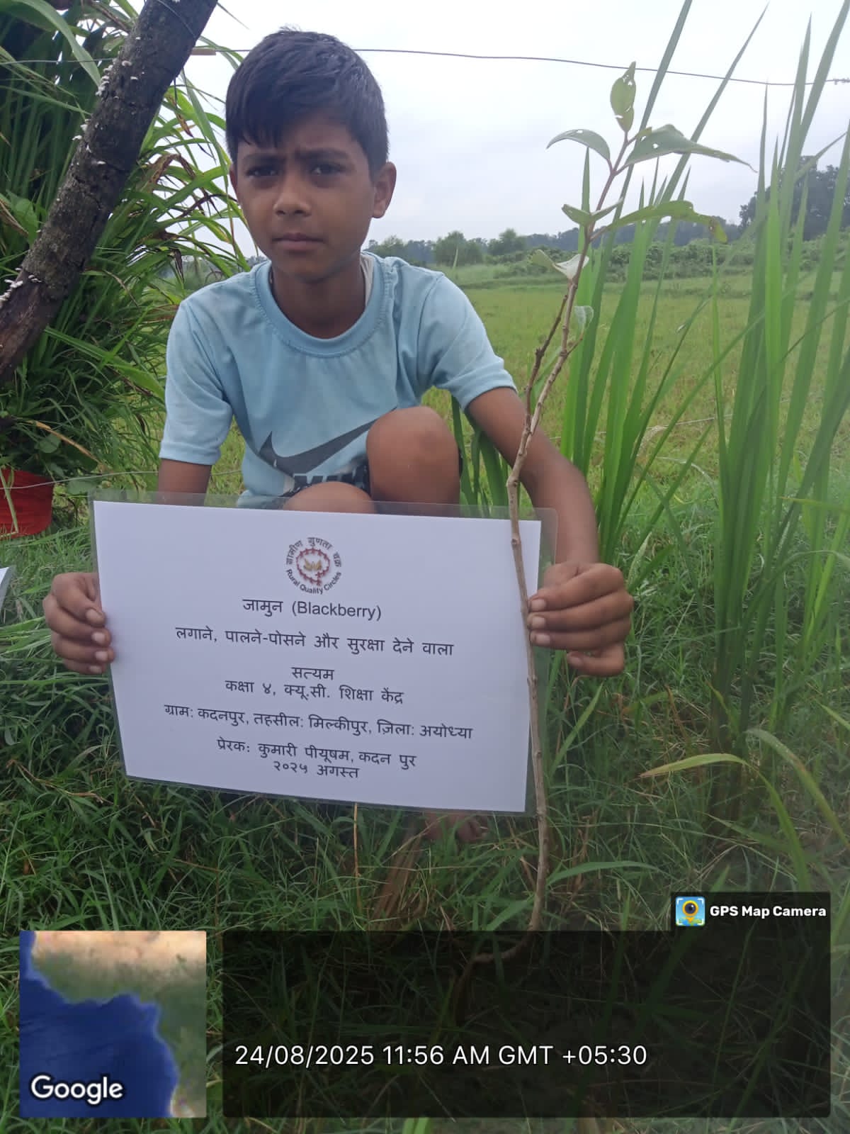 Blackberry (जामून) Tree Taken Care By: Satyam