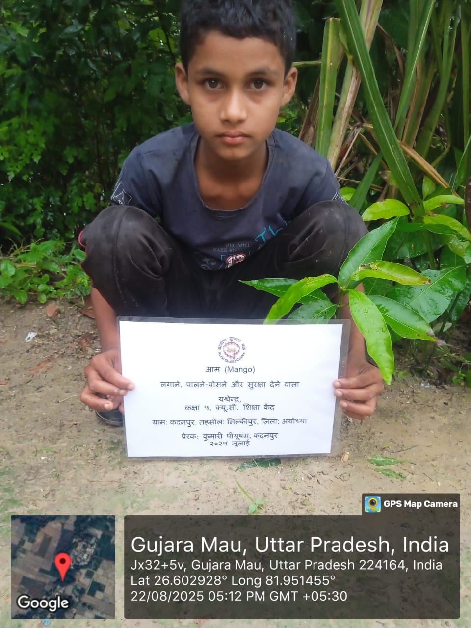 Mango (आम) Tree Taken Care By: Yashwendra