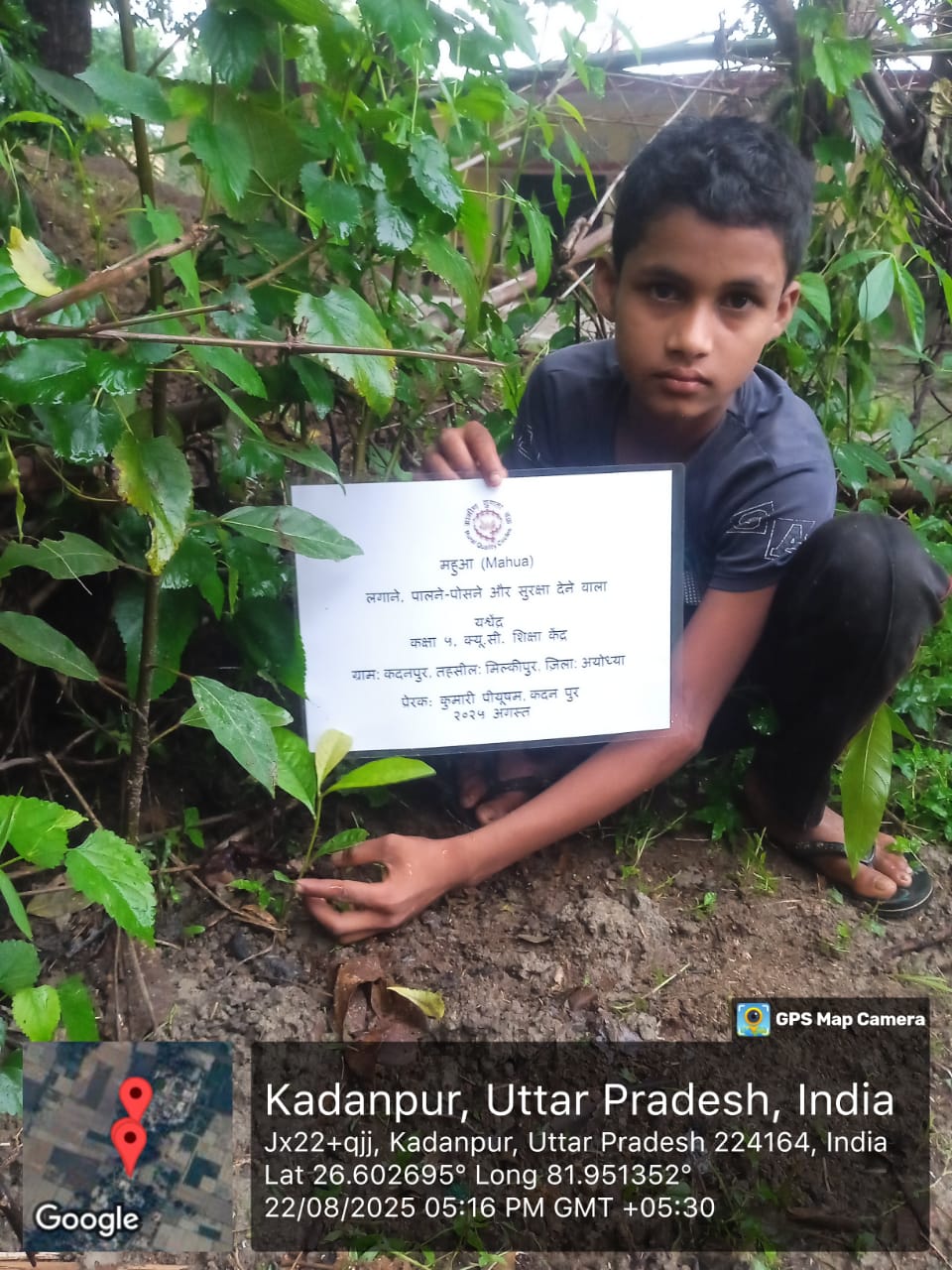 Mahua (महुआ) Tree Taken Care By: Yashwendra